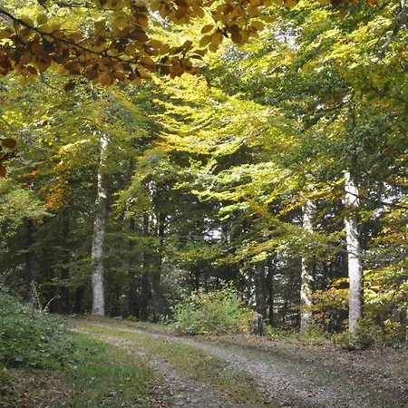 Rurales Casa Baltasar *