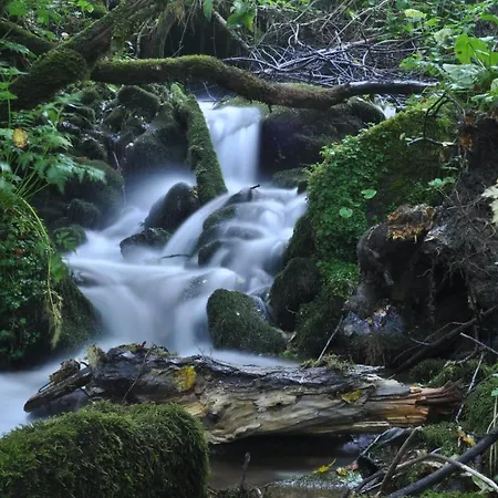Rurales Casa Baltasar